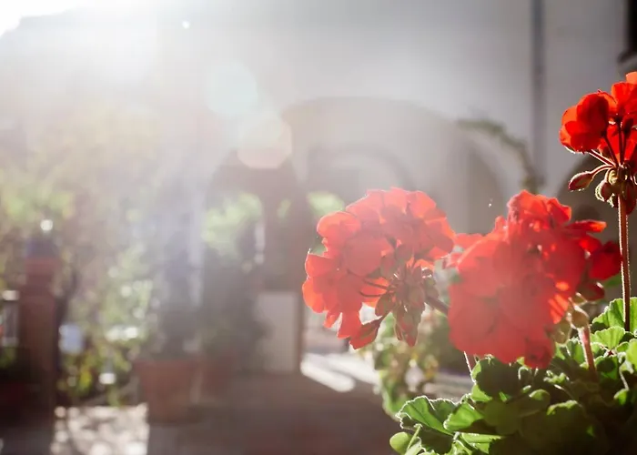 Сasa de vacaciones De Luz Pueblo Mijas