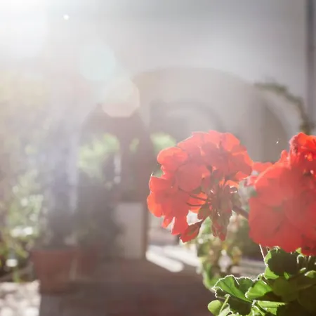 Vakantiehuis De Luz Pueblo Mijas